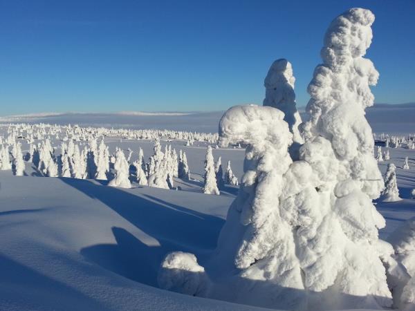 Norway cross country skiing holiday