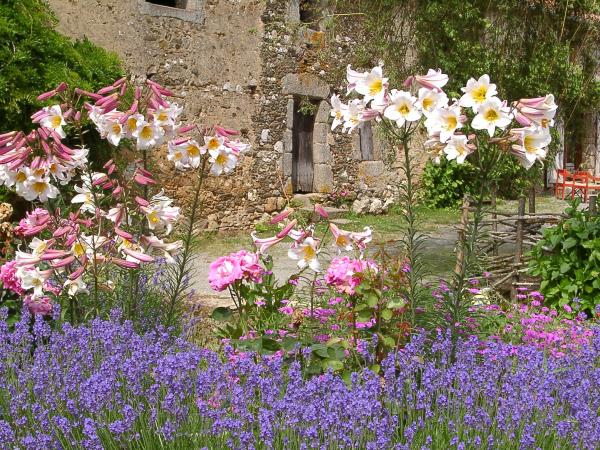 France wellbeing holiday