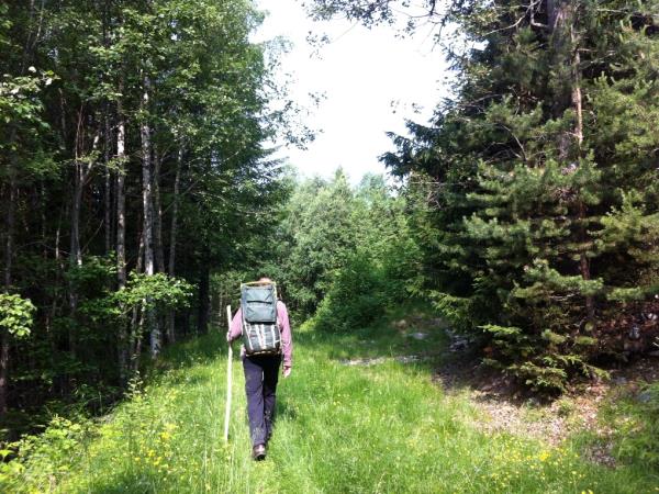 Walking holiday in Norway, Dovrefjell National Park