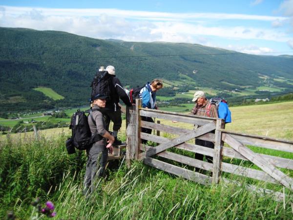 Walking holiday in Norway, Dovrefjell National Park