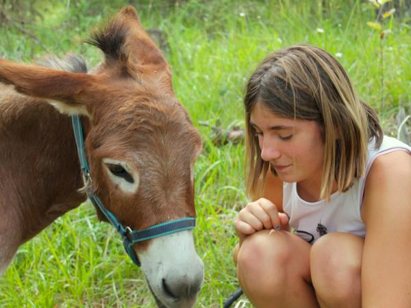 Mercantour centre-based walking holiday, French Alps