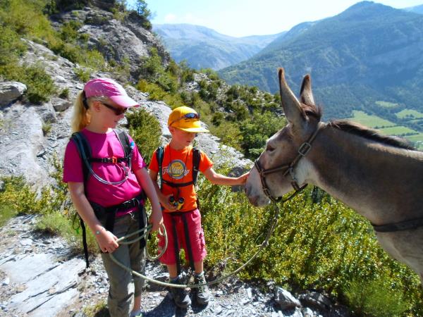 Mercantour centre-based walking holiday, French Alps