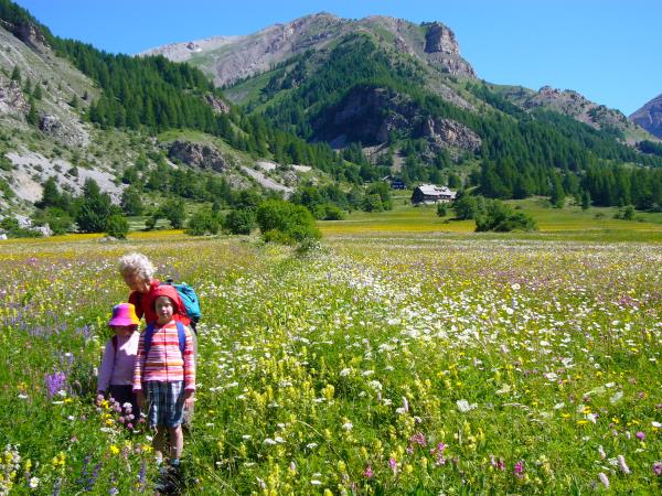 Mercantour centre-based walking holiday, French Alps