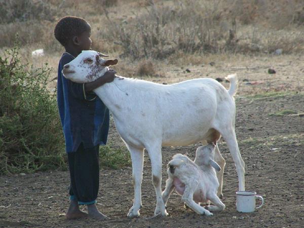 Tanzania holiday, safari, culture and wildlife 7 days