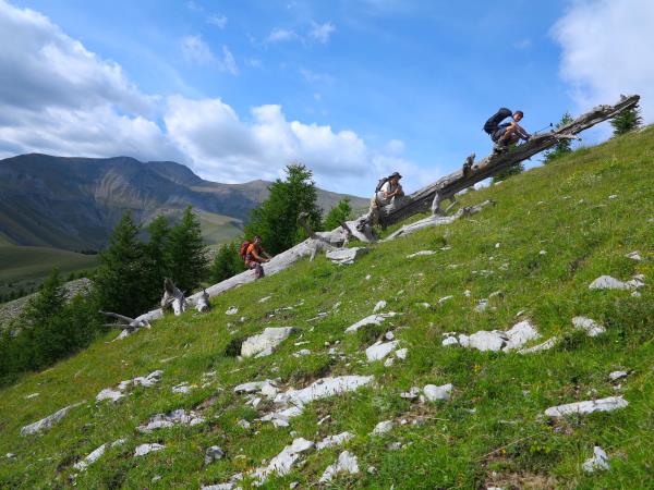 Mercantour walking holiday in France