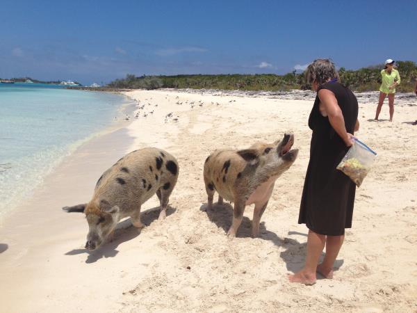 Best Time To Visit Bahamas In Travel 2018 Best Time To Visit Bahamas In Travel 2018