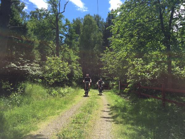 Sweden activity holiday, Stockholm countryside