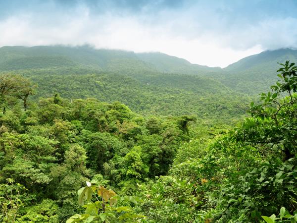 Costa Rica bespoke holiday, wildlife and volcanoes