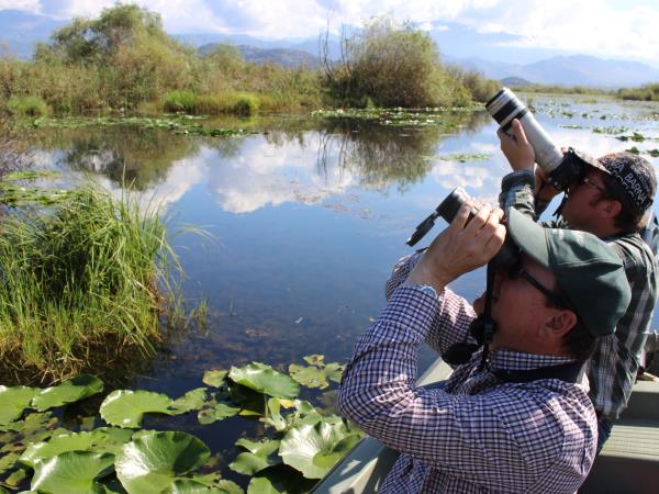 Montenegro bird watching holiday