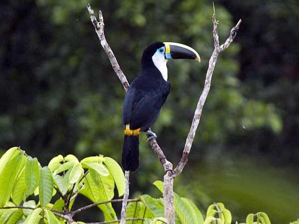 Holiday in Ecuador, tailormade