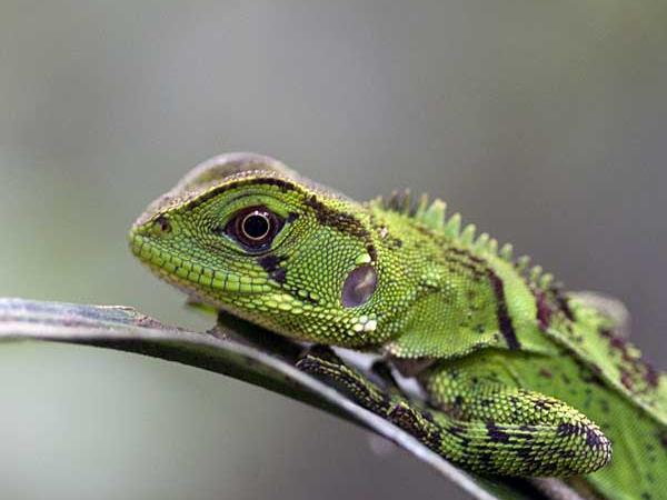 Holiday in Ecuador, tailormade