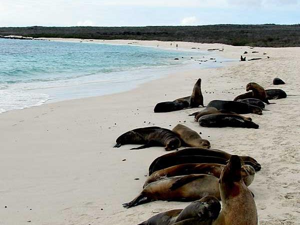 Holiday in Ecuador, tailormade
