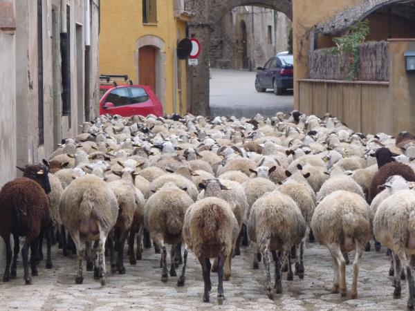 Self guided cycling holiday Catalonia, Spain
