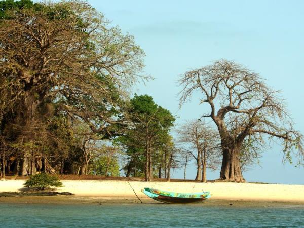 Guinea Bissau to the heart of the Sahara overland tour