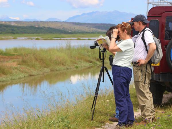 Montenegro bird watching holiday