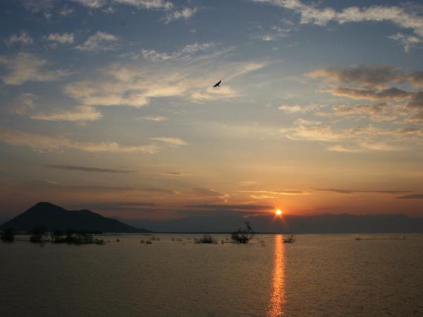 Montenegro bird watching holiday