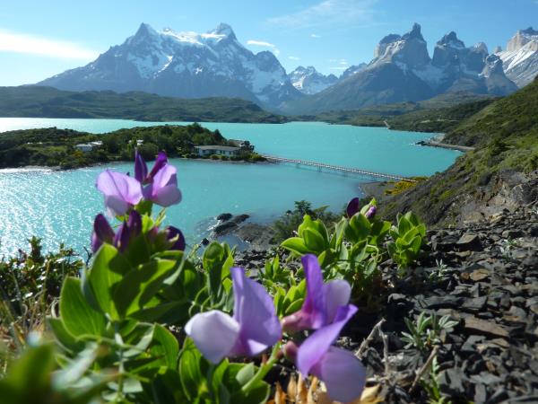 Patagonia wilderness holiday, journey to Ushuaia