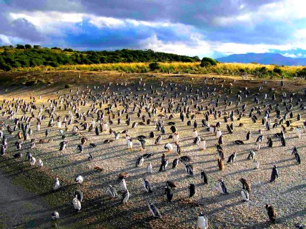 Patagonia wilderness holiday, journey to Ushuaia