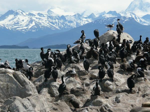 Patagonia wilderness holiday, journey to Ushuaia
