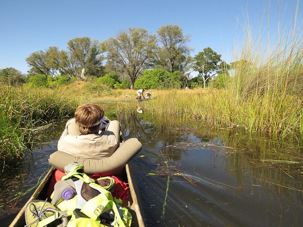 Botswana lodge safari