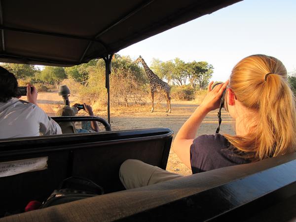 Malawi, Zambia and Zimbabwe expedition safari