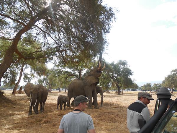 Malawi, Zambia and Zimbabwe expedition safari