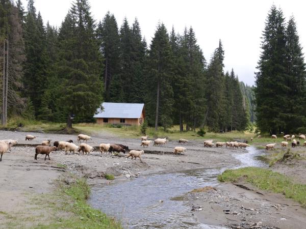 Romania's natural wonders holiday, small group