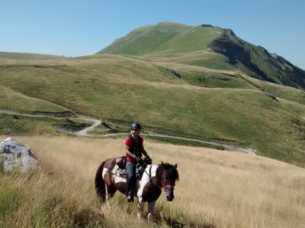Montenegro horse riding tour