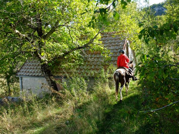 Montenegro horse riding tour