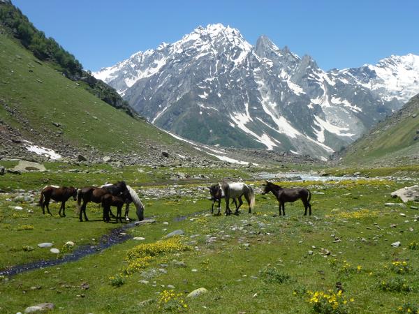 Bhaba and Pin Valley trekking holiday in India