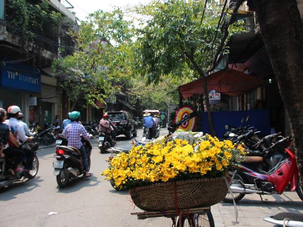 Vietnam 14 day family tour