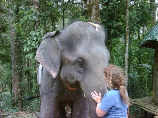Backwaters of Kerala, spice gardens & beach holiday