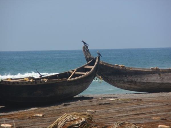 Backwaters of Kerala, spice gardens & beach holiday