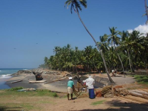 Backwaters of Kerala, spice gardens & beach holiday