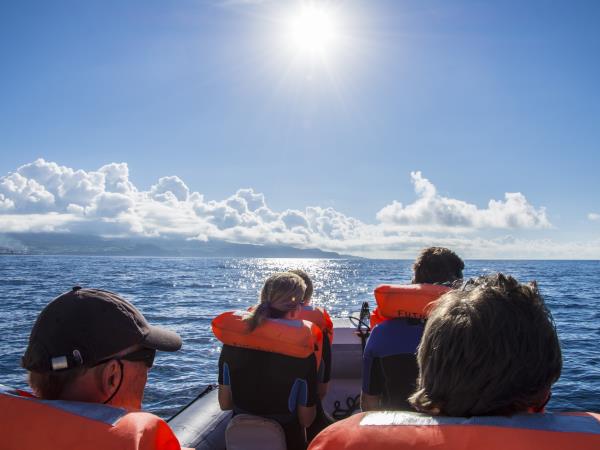 Azores tour, volcanic wonderland