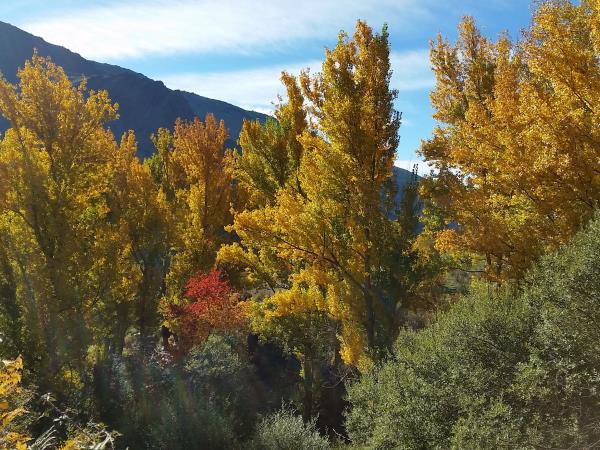 Andalucia walking holiday, Autumn in Spain