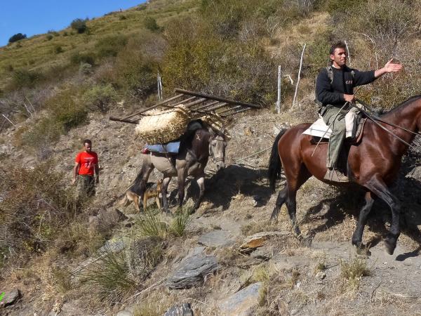 Andalucia walking holiday, Autumn in Spain
