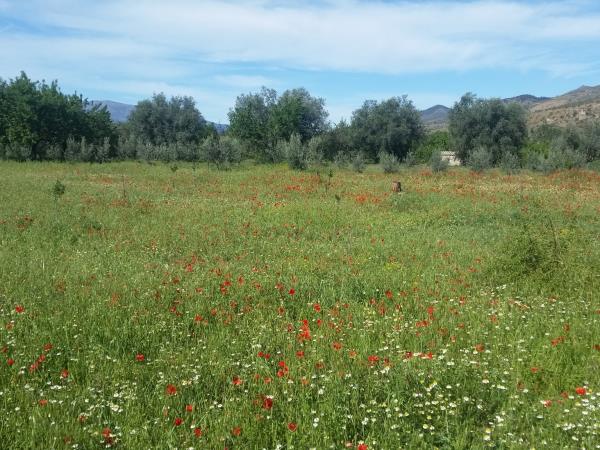 Walking holiday in Las Alpujarras, Spain