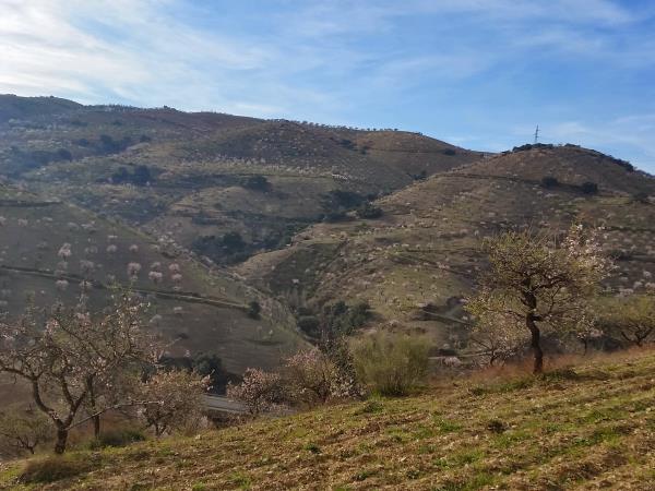Spain walking holiday, Walking in blossom