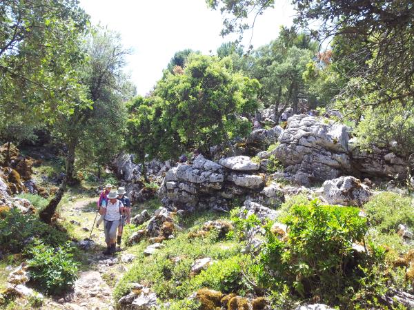 Grazalema self guided walking holiday, Spain