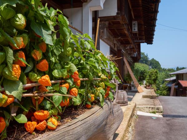 Nakasendo Trail walking tour, Japan