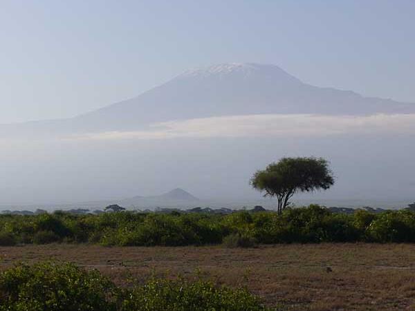 Kenya holidays, safari and beach holiday