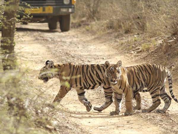 India tour, Taj, tigers and Ganges holiday