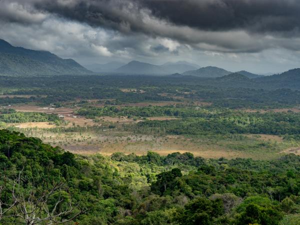 Guyana wildlife holiday, tailor made