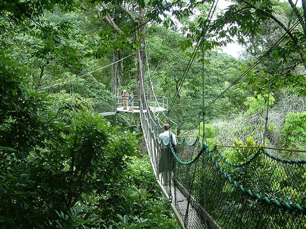 Guyana wildlife holiday, tailor made