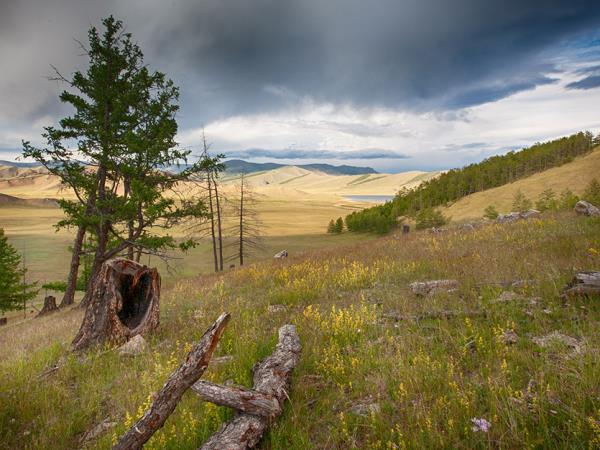 Mongolia wilderness trekking holiday, Khangai Mountains