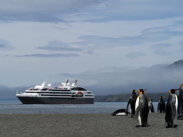 Antarctica, South Georgia & Falklands luxury cruise