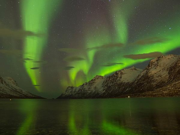 Norwegian coast cruise, Kirkenes to Bergen