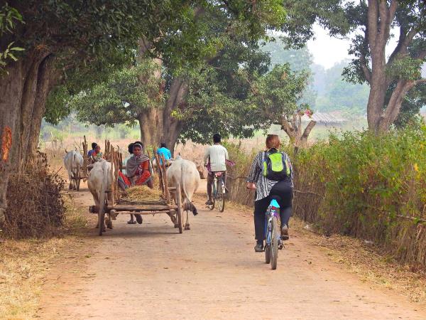 Cycling holiday in the Maikal Hills, Central India