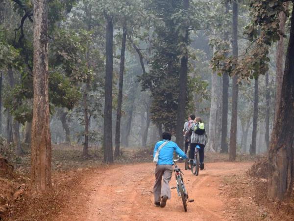 Cycling holiday in the Maikal Hills, Central India